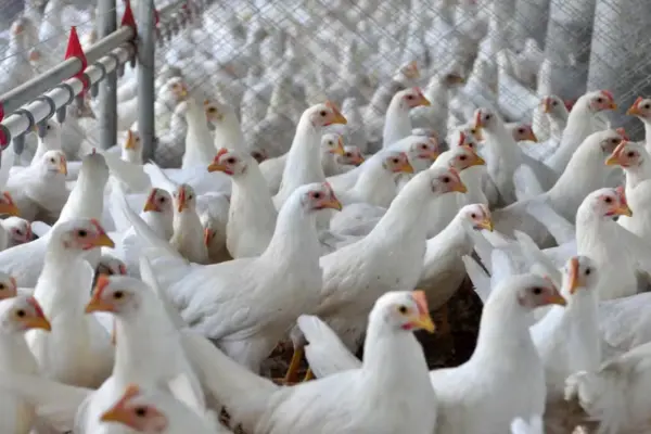 Foto: SAR/ Divulgação