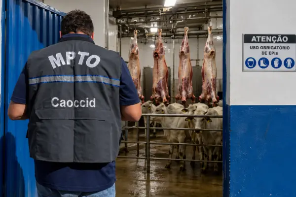 Foto: Divulgação/MPTO | Edição AI