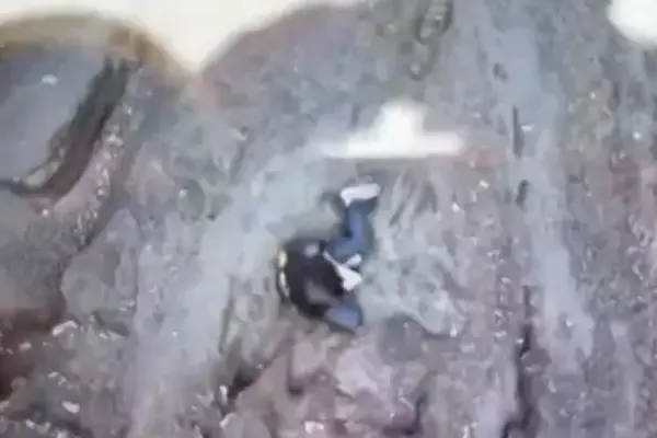 Foto: Reprodução Internet