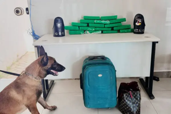 Foto: PM/Divulgação