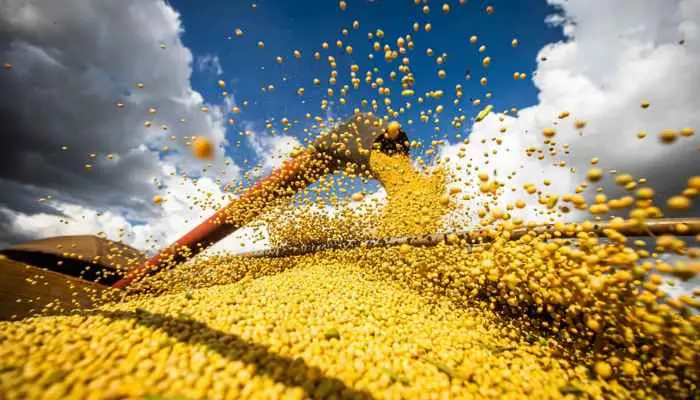 Foto: CNA/Wenderson Araujo/Trilux