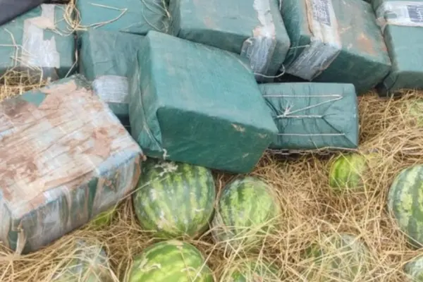 Foto: PF/Divulgação