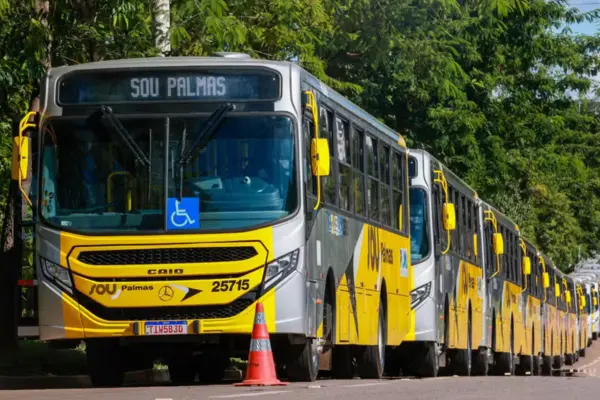 ônibus do transporte coletivo de Palmas — Foto: Lia Mara/Prefeitura de Palmas