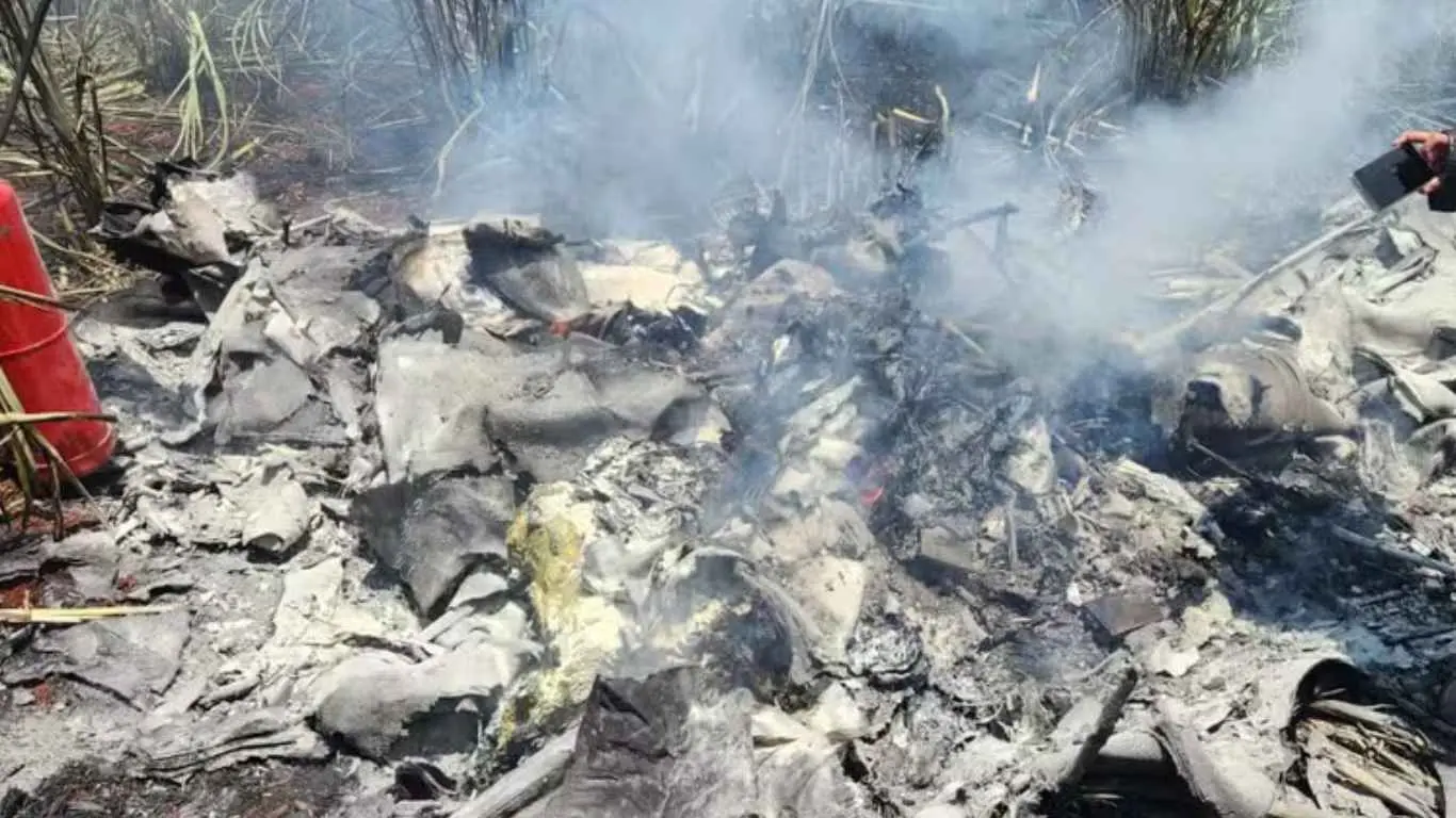 Destroços de avião que caiu em Quadra, no interior de SP — Foto: Arquivo Pessoal