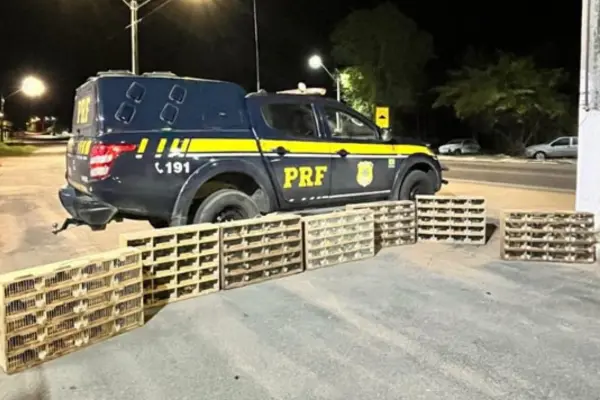Foto: PRF/Divulgação